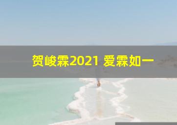 贺峻霖2021 爱霖如一